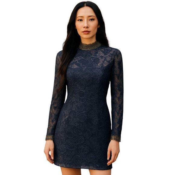 Rachel Zoe Size 6 RTR Designer Black Lace Dress Long Sleeve High Neck Hidden Zip - Picture 1 of 16